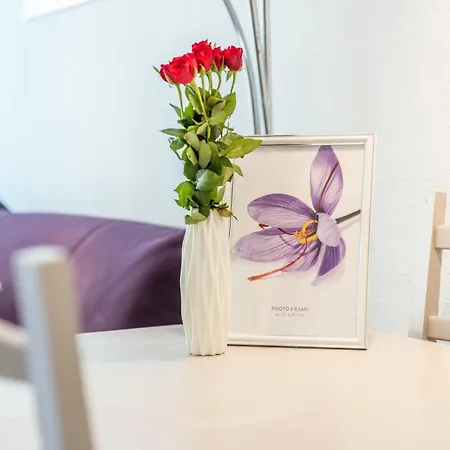 Apartment Les Marines Port 2 Min Camargue- Pros Services Conciergerie La Grande Motte Mauguio